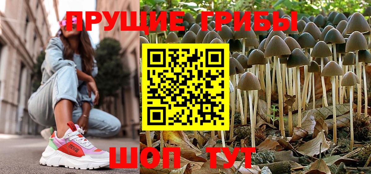 Галлюциногенные грибы Magic Shrooms Нерюнгри